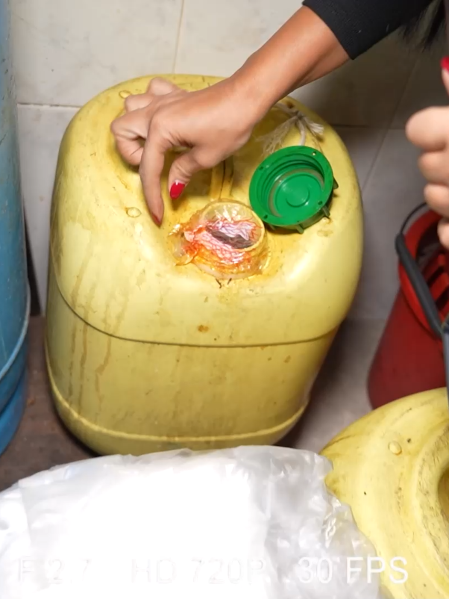 شفرات حلاقة على الرفوف وصراصير تتنقّل في المطبخ! فلافل ابو أندريه وصهيون و Murray في دائرة الفضيحة #لقمة_وطن #الجديد