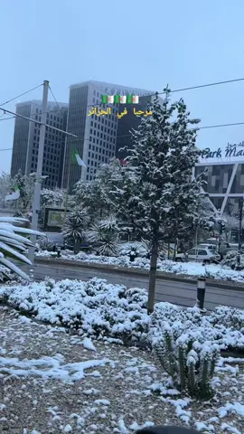 الجزائر #الجزائر #algeria 