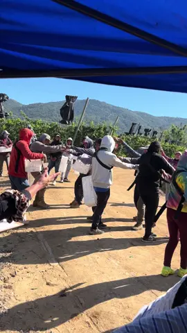 #temporerosbolivianos🇧🇴🇨🇱 #melipillachile🍒 