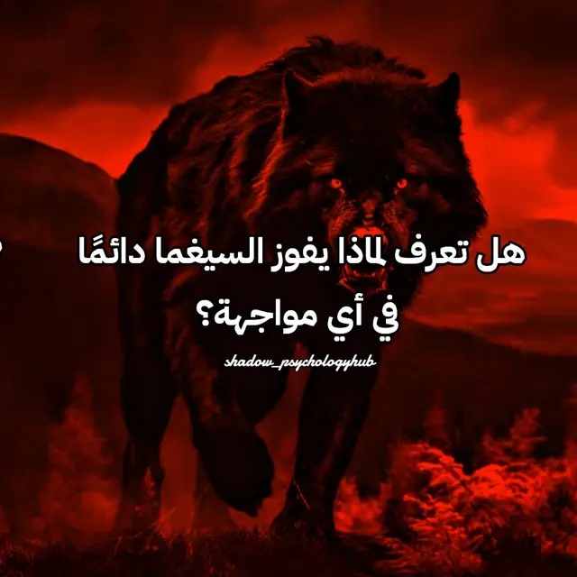 5 استراتيجيات السيغما للفوز في أي مواجهة #ForYou #SigmaMind #علم_النفس_المظلم #سيغما #FYP 