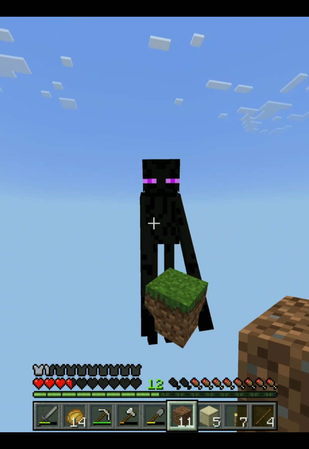 this ender #Minecraft #skyblock #viral #fyp #enderman 