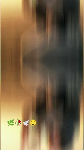 🌿🥀🕊️😔😕#foryou #viralvideo #fypシ #🥀🕊️ 😔😕