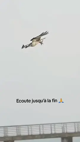 Ecoute jusqu'à la fin ...🙏 #apotreleopoldmutombokalombo #apotreleopoldmutombo @Ministère AMEN 