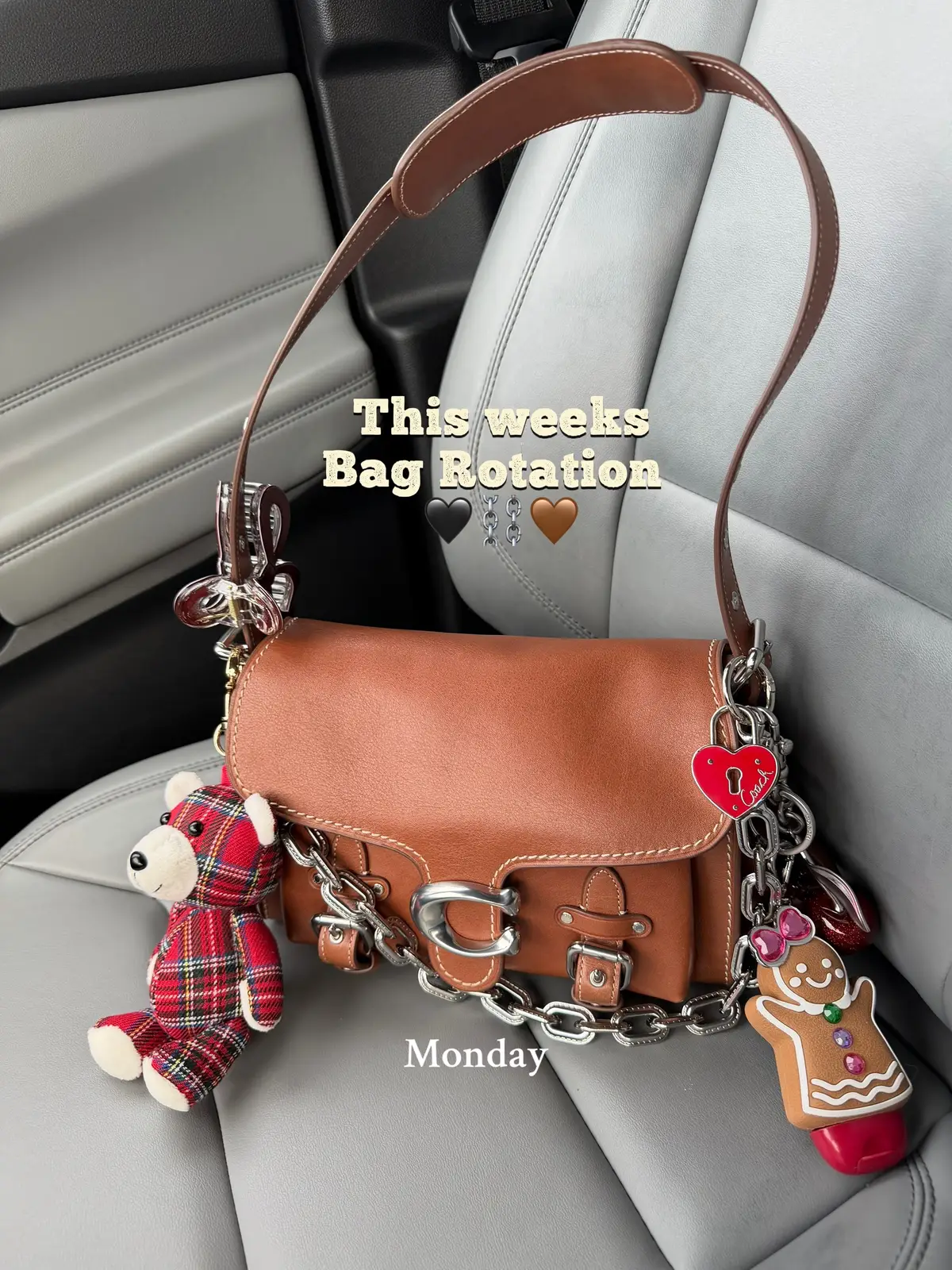 This weeks bag Rotation 🤎🖤⛓️✨ #bagoftheday #whatsinmybag #bagrotation #whatsinmypurse #coach 