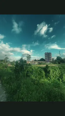 লাইন গুলা 🫠❤️‍🩹#repost  #wathercolor #copylinkplease💗 #vairalsong✌🎶🎶🎶 #foryoupageofficiall 