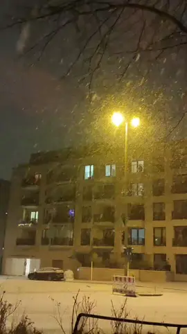 First Snowfall 2025 in Hamburg, Germnay  #hamburg  #snowfall  #winteringermnay 