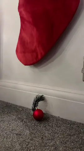 Merry crisis  #christmastree #christmas2025 #MinimalistChristmas 