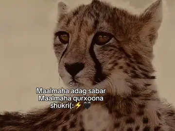 Sida saxda..     #Repost #foryoupage #viral_video #fypシ゚ #writerSaCck 