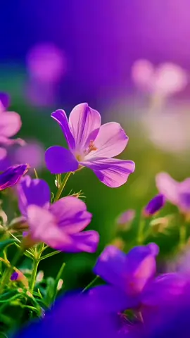 #التقويم_اليومي #الثلاثاء #القران_الكريم_راحه_نفسية😍🕋 