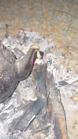 #الاحسبه_ناوان #العصداء #المظيلف #طفيل #ساحليات✈️✌🏻 