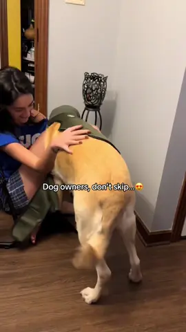 If your dog gets scared, this vest feels like you’re hugging them. It reduces anxiety from storms, fireworks, loneliness, and loud noises. Give your pup comfort, safety, and peace. Your dog deserves to feel safe. 🐾💛 #antianxiety #pets #puppylife #dogsanxiety #viral 