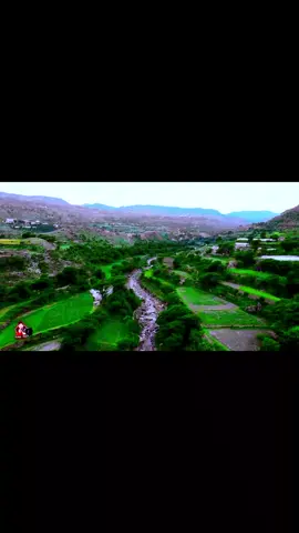 #اليمن🇾🇪 #livewallpaper 