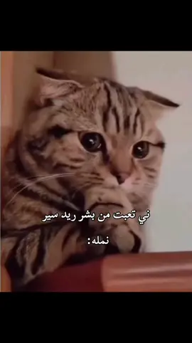 #fyp #شتبوست #شتبوستر_واعي #تصميم_فيديوهات🎶🎤🎬 #الشعب_الصيني_ماله_حل😂😂 