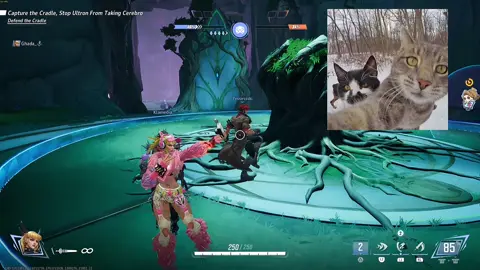 مرحبا #bucky #marvel #marvelrivals #rankedplay #marvelrivalsclips 