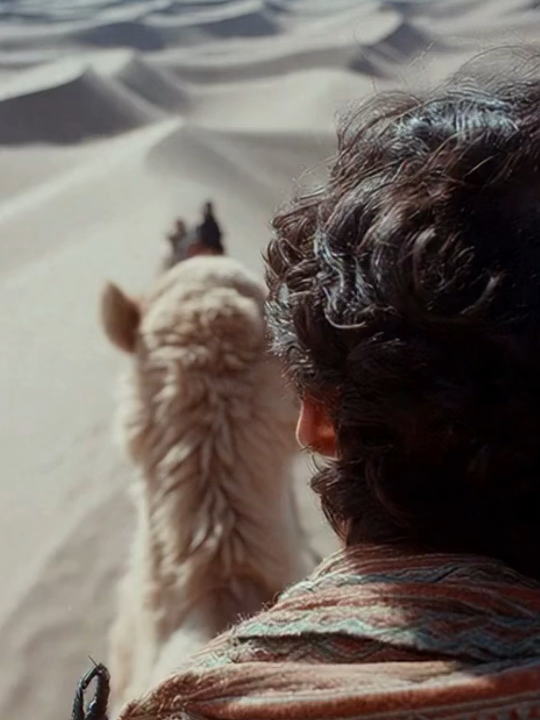 Morocco Desert camel trek across vast Sahara dunes at golden hour, long shadows flowing over rolling sand waves, warm wind and timeless desert stillness creating a dreamy wanderer mood. #SaharaDesert #CamelTrek #DesertJourney #TravelVibes #GoldenHour