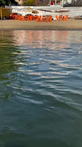 Praia do Alvejado Plataforma 