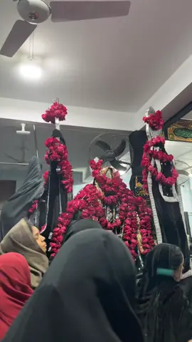 #bibifatimazahraص #bibifatimazahraص #bibifatimazahraص #bibifatimazahraص #bibifatimazahraص 