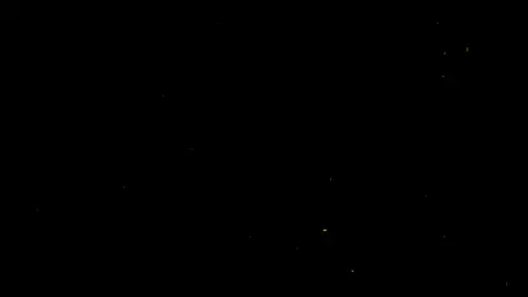 من اروع واهدى  التلاوات لسورة القصص   للشيخ محمد بن ابراهيم عبد اللحيدان ❤️‍🔥  #ياسر_الحزيمي #محمد_اللحيدان #ارح_سمعك_بالقران #سبحان_الله_وبحمده_سبحان_الله_العظيم #سورة_القصص 