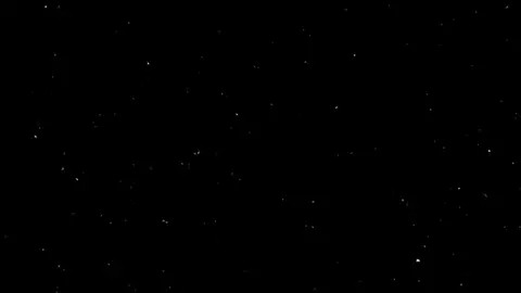 😺😂#لايكات #tiktok #تيك_توك #قطط 