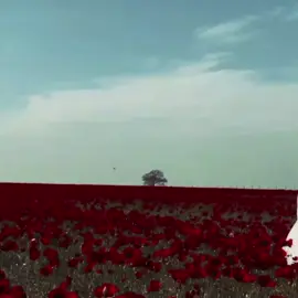 هي عيوني هيه حبه مو بـ ايديه. 🤍🥺 .  .  .  .  .  .  .  .  .  .  .  .  .  #نقابي_عفتي_💗fypシ #كسبلور_explor #مشاهدات #fypシ゚ #جبراتت📮١6_حزينfypシシ 