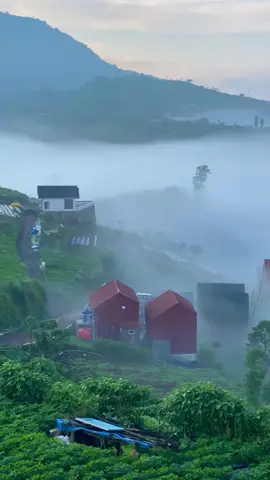 pesona lautan awan#fyp #xybca #pemandangan #alam #foryou 