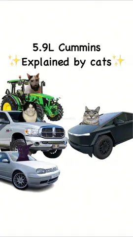 5.9L Cummins explained by cats #carguys #truck #cars #cats 