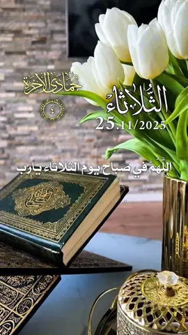 دعاء يوم الثلاثاء 25/11/2025 🌷🌺🌸🌹 #دعاء_يوم_الثلاثاء #اللهم_امين_يارب_العالمين #دعاء_الصباح #صباح_الخير #صباحكم_أحلى_صباح 