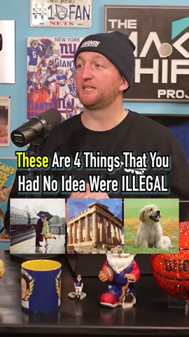 4 Things You Had No Idea Are Illegal! Did You Know? #fyp #illegal #guessinggame #dogs 