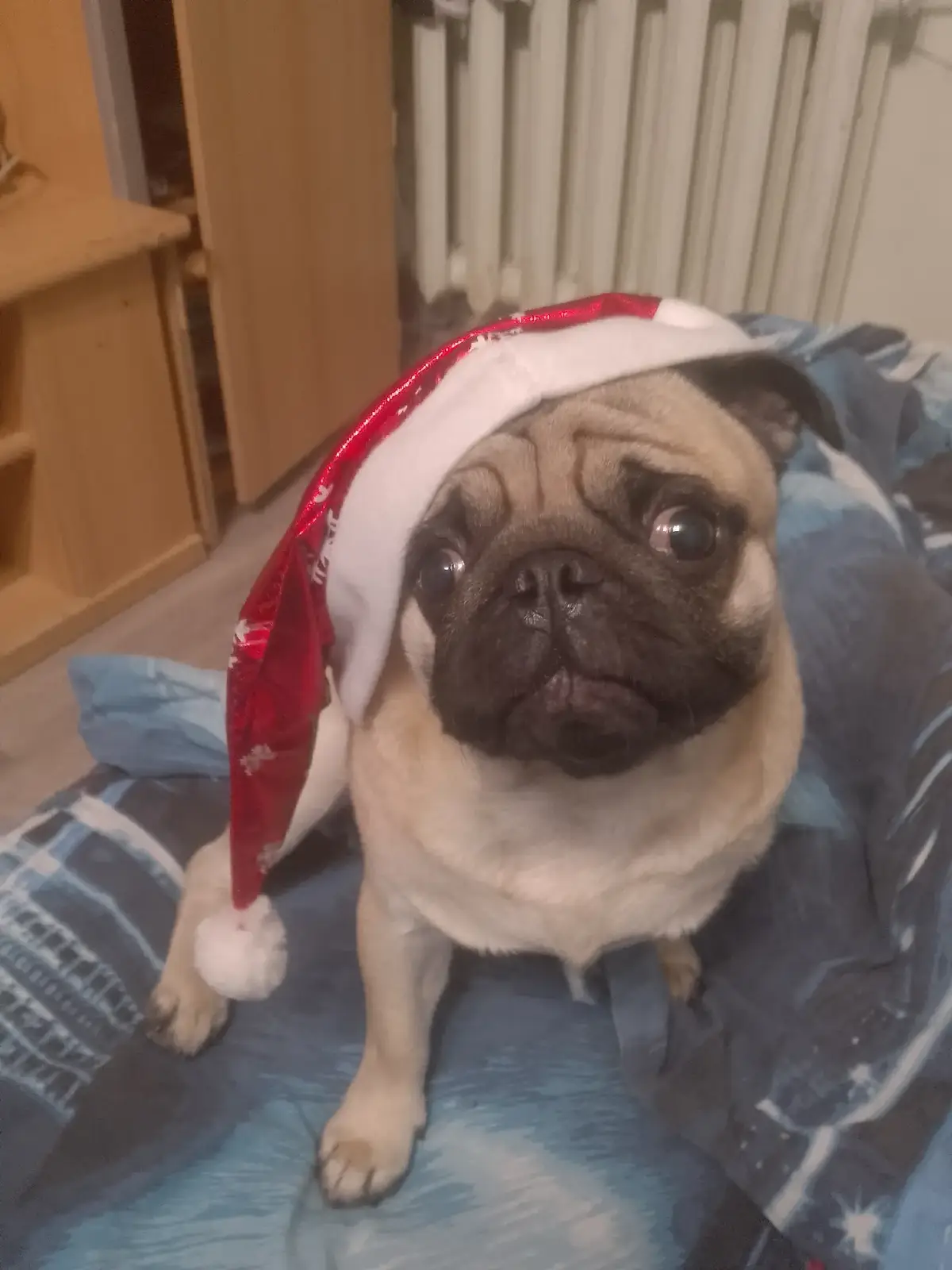 #хочуврекомендации #хочуврекомендации #хочуврекомендации #хочуврекомендации #хочуврекомендации #хочуврекомендации 