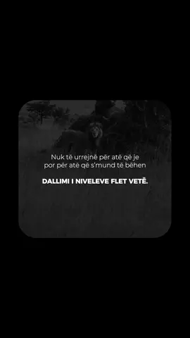 Njerëzit s’urrejnë suksesin, urrejnë distancën që krijon suksesi mes jush. Kur ecën përpara, është e natyrshme që disa të mbeten mbrapa. sukses, stoic mindset, urrejtje, vetëbesim, nivel i lartë, qëndrueshmëri, disiplinë #RrenjetStoike #StoicMindset #SelfMastery #RiseAbove #MentalitetiStoik 