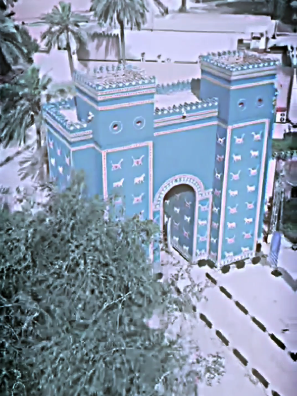 أم الحظارهّ بابل🫶🏻!#بابل #tiktok #fyp #viral #fpy 