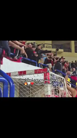 معلش روحوا نامو الأهلي بطل الدوري 🔥🤍🤍🤍🤍🤍🤍🤍🤍🤍🤍🤍🤍🤍🤍🤍#معلول #الإتحاد_الإسكندراني #الأهلي#زيزو #الكره_السله 