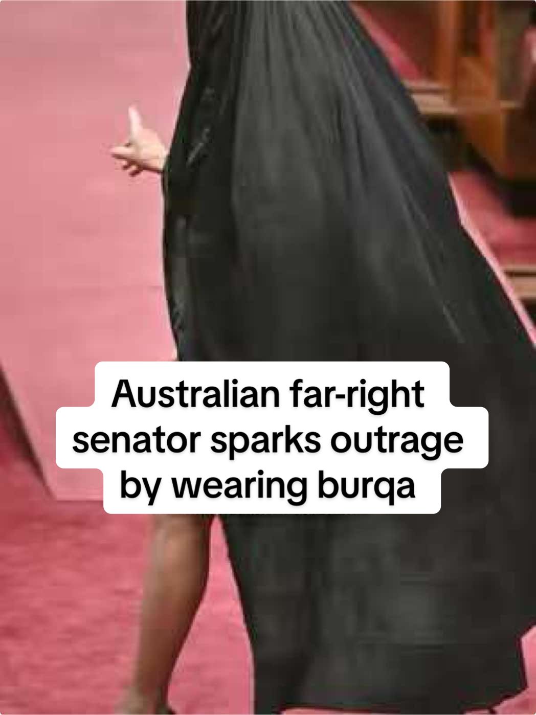 Australian far-right senator Pauline Hanson sparked outrage after she wore a burqa to parliament, the second time she has used the head garment — which is worn by some Muslim women — as a political prop to push for a national ban during her career. #australia #poliitics #religion #islam #parliament