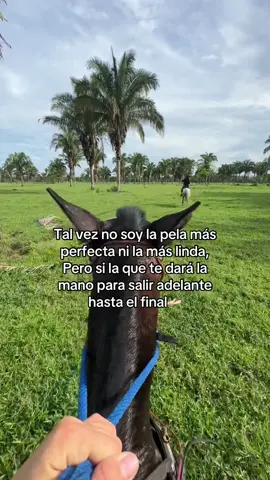 #paratiiiiiiiiiiiiiiiiiiiiiiiiiiiiiii #viral_video #juiciosaytrabajadora #todoterreno #