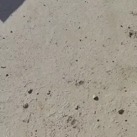 مال ضوجه صممته بالكيه  . . . . . . #حائط_العبارات #عبارات #حزين #تصاميم #ستوريات 