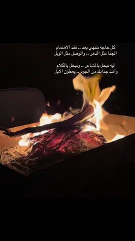 #explore #like #fipシ #🦌 