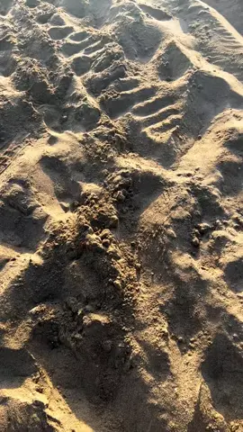 có lẽ không nên như thế..#xhuong #viral #fyp #xuhuong #hoanghon 