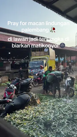 Macan lindungan lagi #prayfordrivercabe #mulyobasuki #promomakangajian 