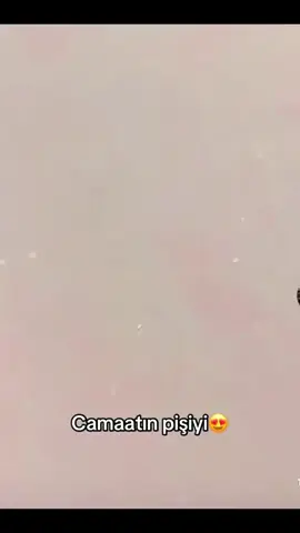 #fypシ゚viral #keşfet #pişik #öneçıkar #kedi 