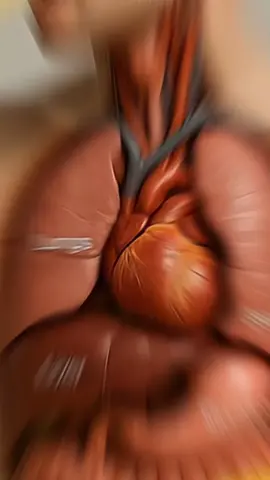 what happens when you eat lays chips#LearnOnTikTok #graphicsdesign #foodfacts #healthfacts #scienceexperiments 