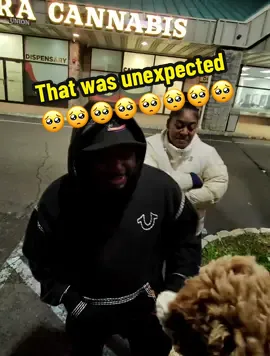 Unexpected Had to rush to the Emergency Room 🥹 #toypoodle #jersey #fyp #dmv #Nyc  