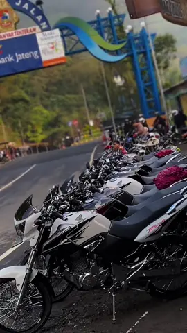 Tiger pece lebih menggoda🤭#padahariini#tigermalika#tigerpatiutara#gl200modifikasitiger#pecegank#masukberandafyp#trending