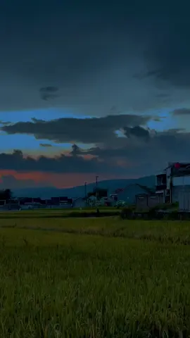 beautiful but she can't come back