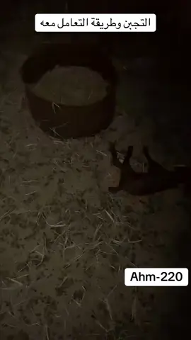 #احمد_الزهراني 