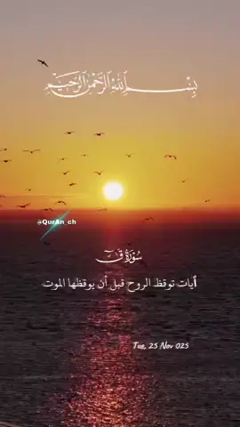 #آيات_مؤثرة#تدبر_القران#خشوع_القران#موعظة_قرآنية#يوم_القيامة