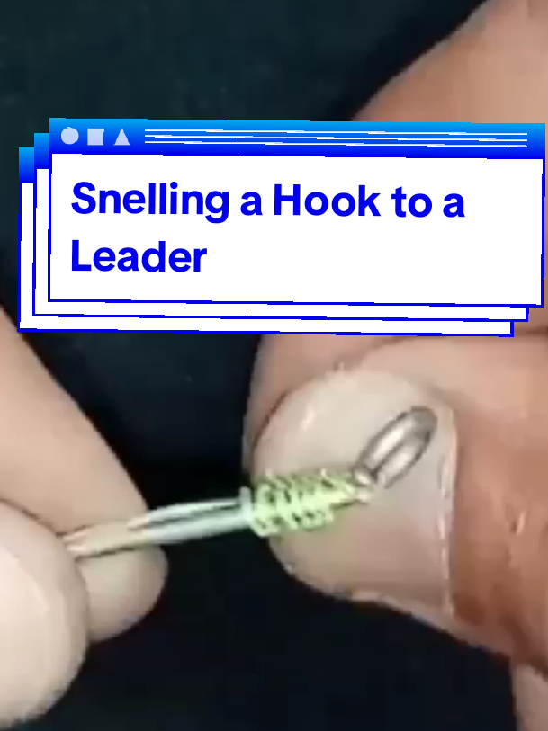 Snelling a Hook to a Leader. #fishinghookknot #fishingknot #snellknot 