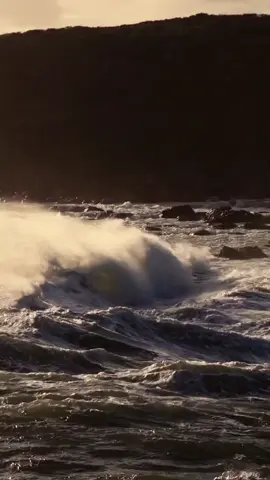 #اللهم_صلي_على_نبينا_محمد 