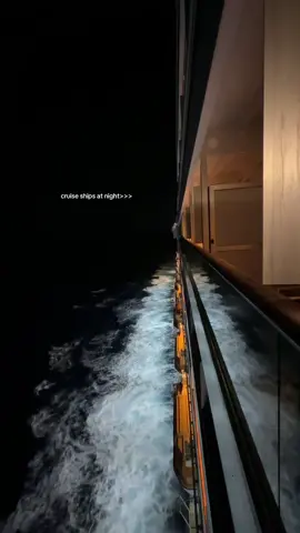 Do you like this feeling or are u scared? I just love it 😍 #cruise #night 