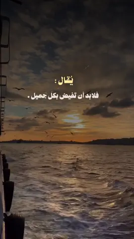 يُقال : ‏كل إناء بما فيه ينضح وكل نفس بما فيها تفيض .. ‏فمن كان الجمال يملأ ذاته  فلابد أن تفيض بكل جميل ..💐