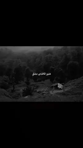 ئەگەر لە منیش دوور بیت' تۆ لە ڕۆحی منەوە نزیکترینی🖤#foryoupage #foryou #hayedeh #malii_51 #haida @TikTok 